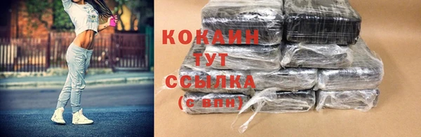 spice Елизово