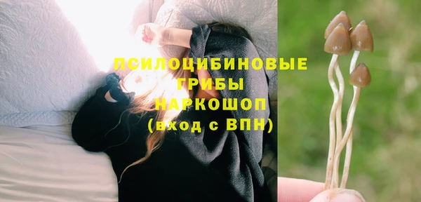 спайс Ельня