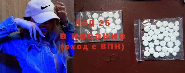 spice Елизово