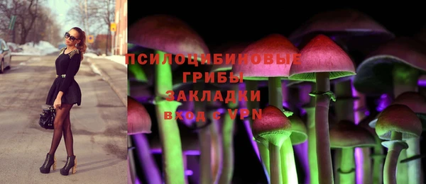 спайс Ельня