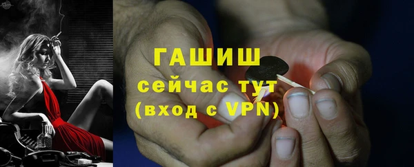 спайс Ельня