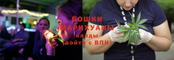 спайс Ельня