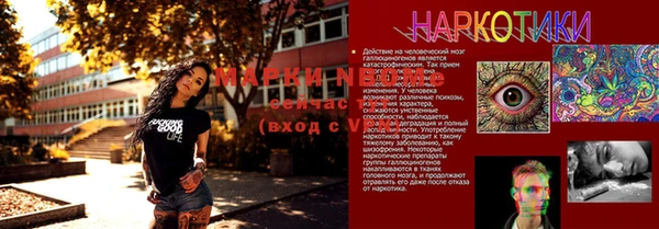 спайс Ельня
