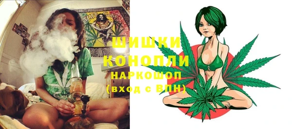 spice Елизово